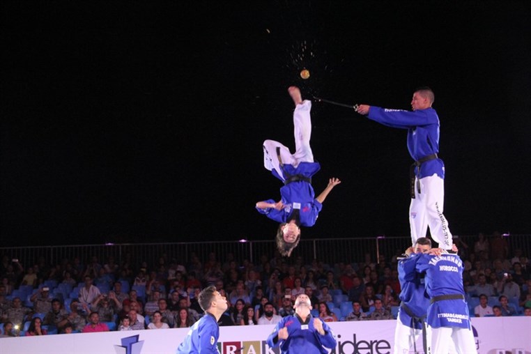 Martial Arts Festival